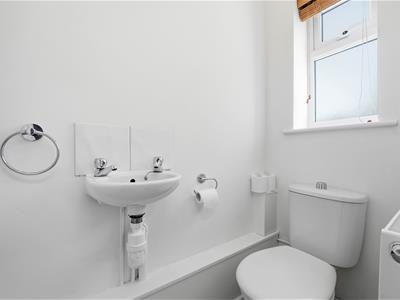 Picture 17
